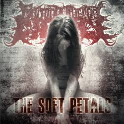 Burning Our Last Chance : The Soft Petals